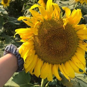 Meet your Posher, Taylor